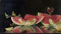 _9163026_watermelon_slices